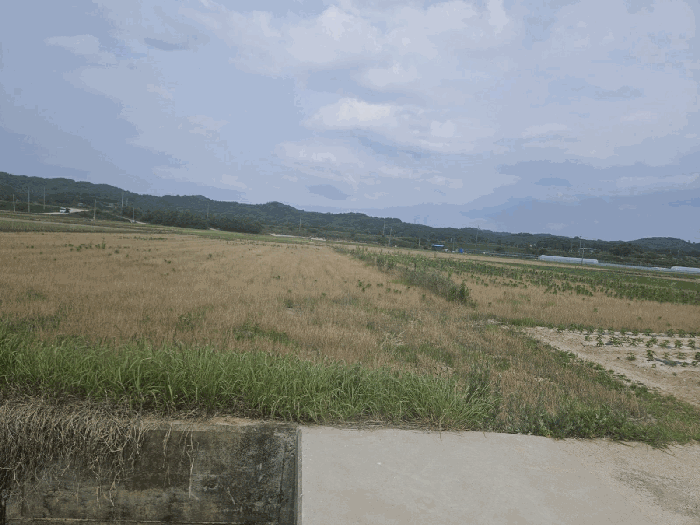물건 사진 26