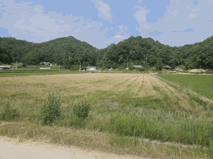 물건 사진 33