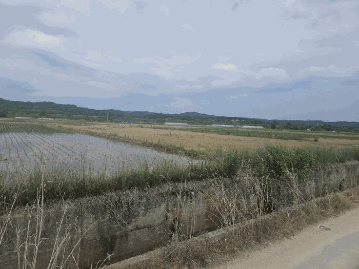 물건 사진 31