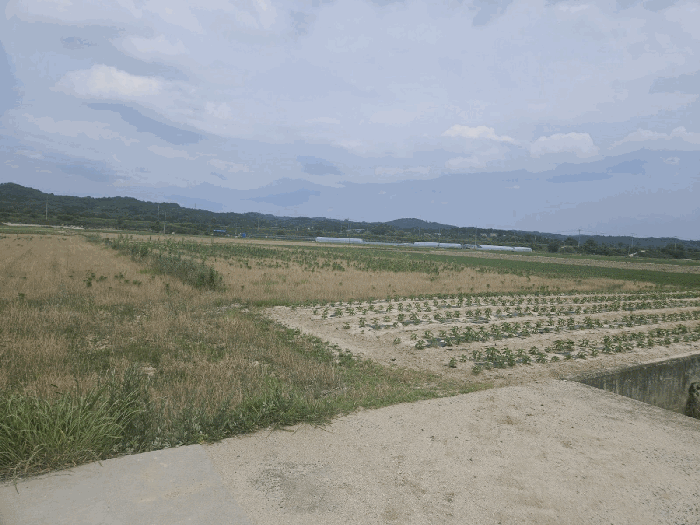 물건 사진 32