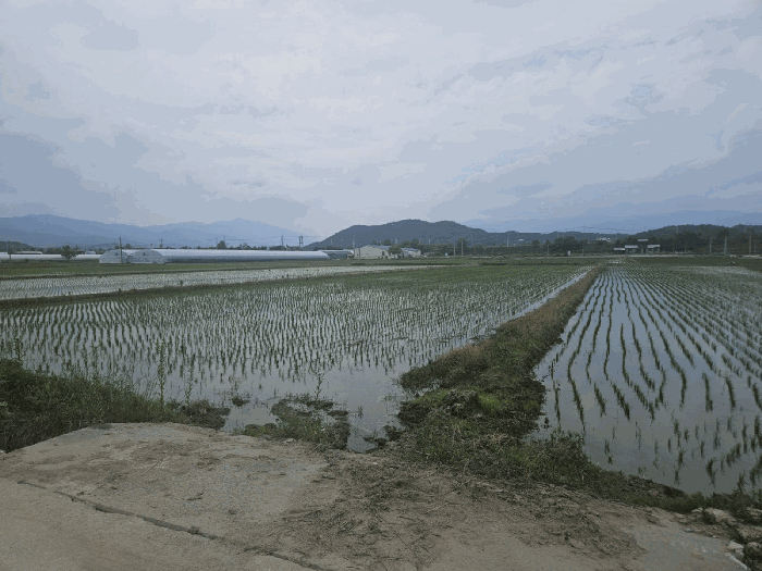 물건 사진 34