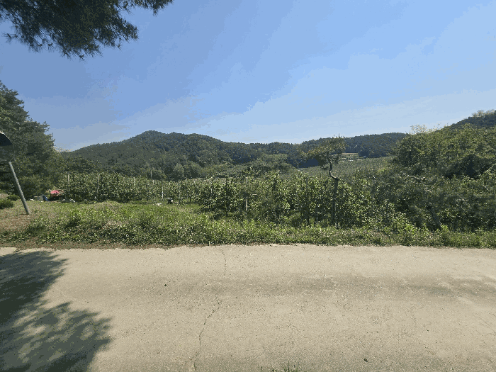 물건 사진 24