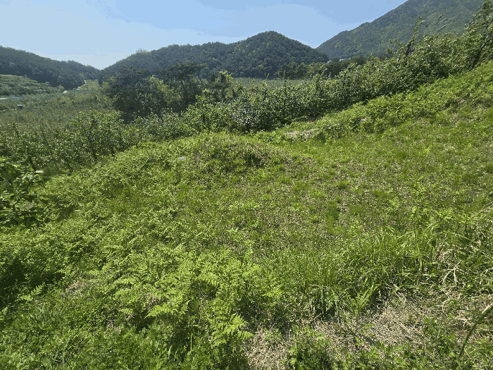 물건 사진 27