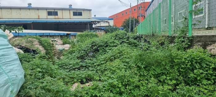 물건 사진 5