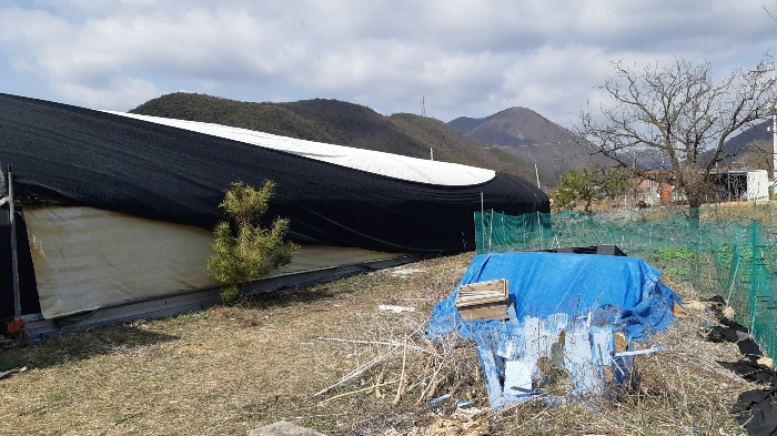 물건 사진 12