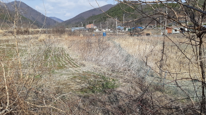 물건 사진 14