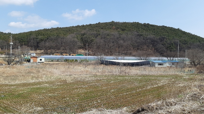 물건 사진 3