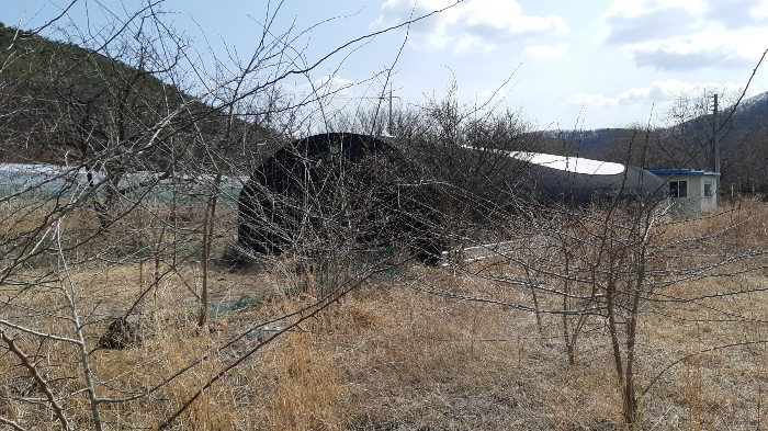 물건 사진 7
