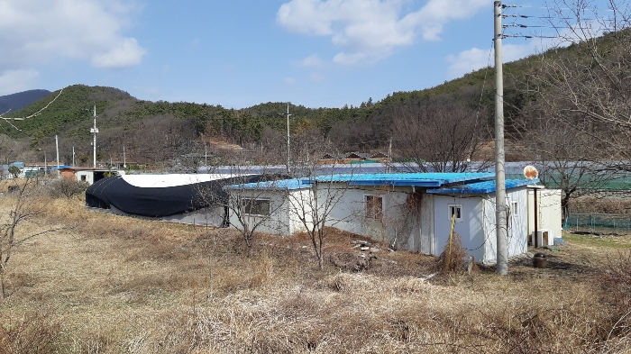 물건 사진 9
