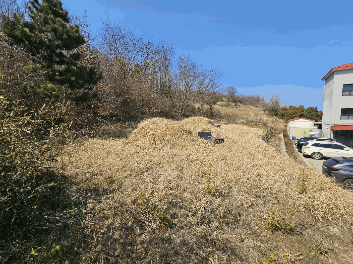 물건 사진 2