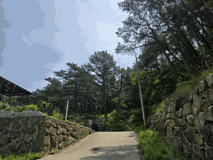 물건 사진 15