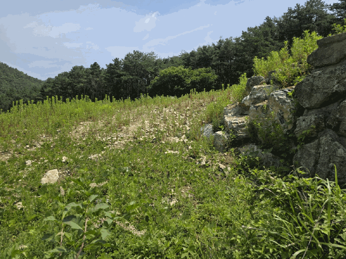물건 사진 26