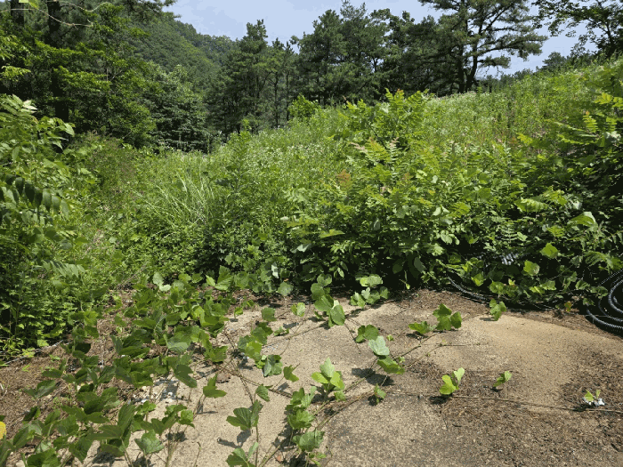 물건 사진 31