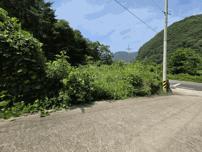 물건 사진 32