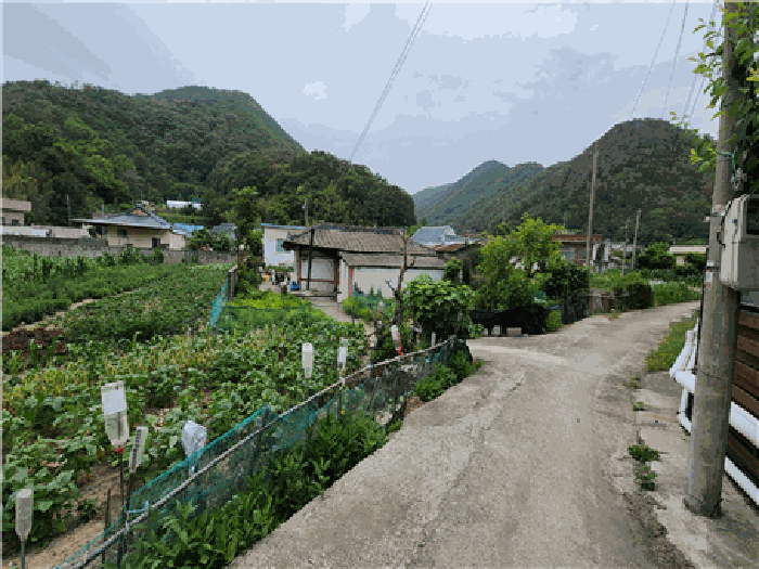 물건 사진 13