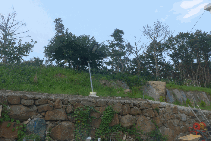 물건 사진 51