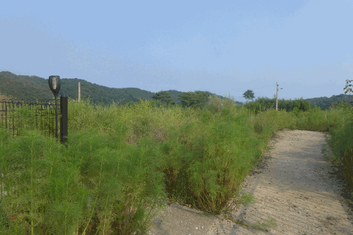 물건 사진 41