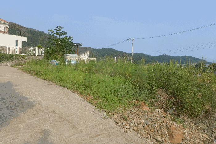 물건 사진 48