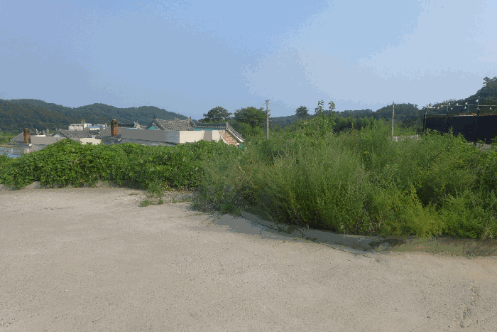 물건 사진 50