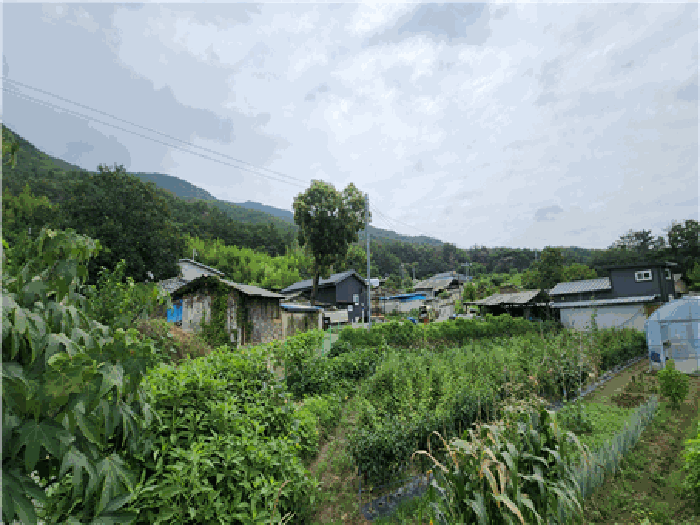 물건 사진 11