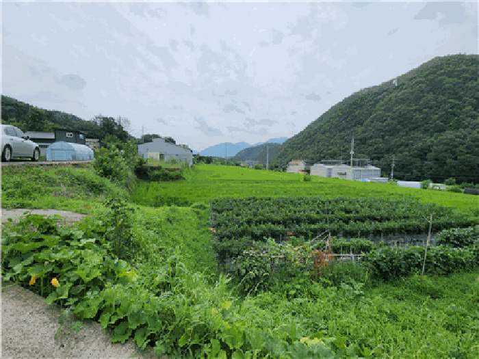 물건 사진 16