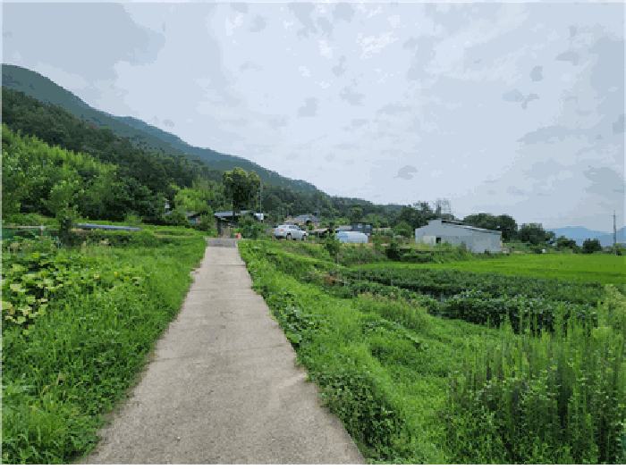 물건 사진 17