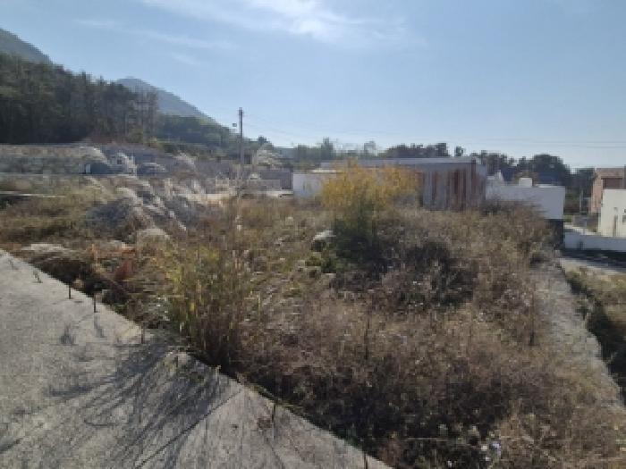 물건 사진 3