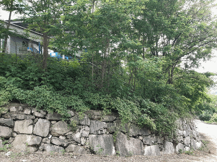 물건 사진 30