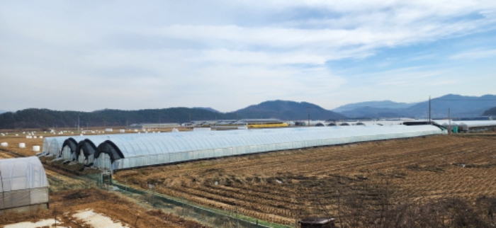 물건 사진 11
