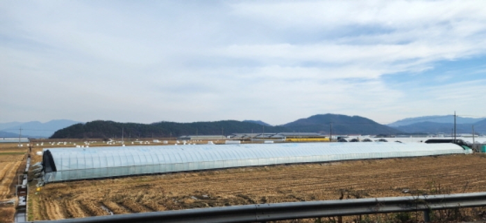 물건 사진 12