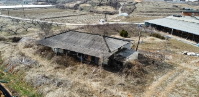 물건 사진 1