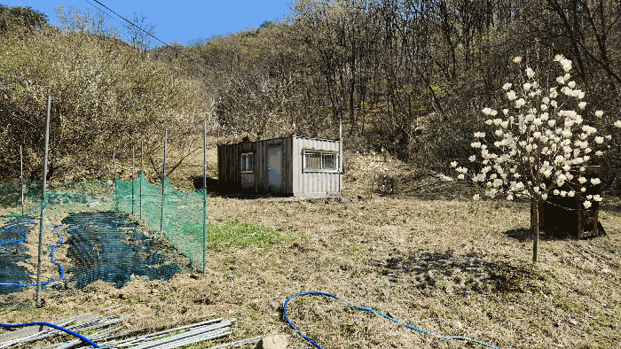 물건 사진 19