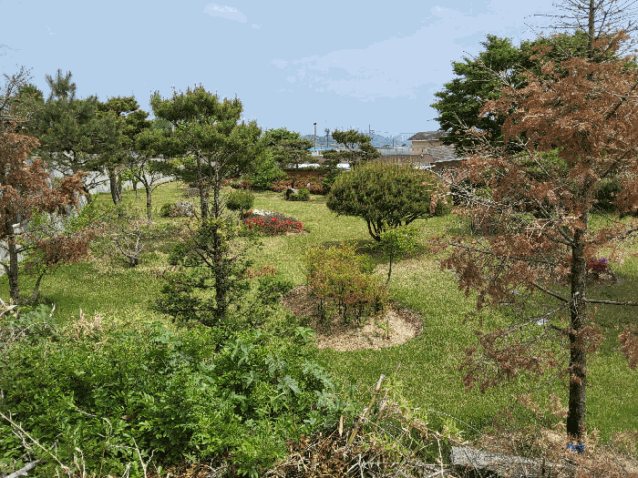 물건 사진 57