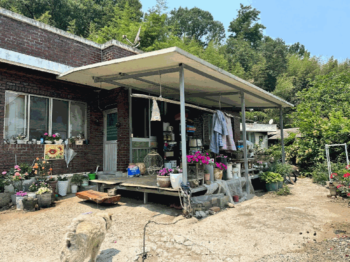 물건 사진 8