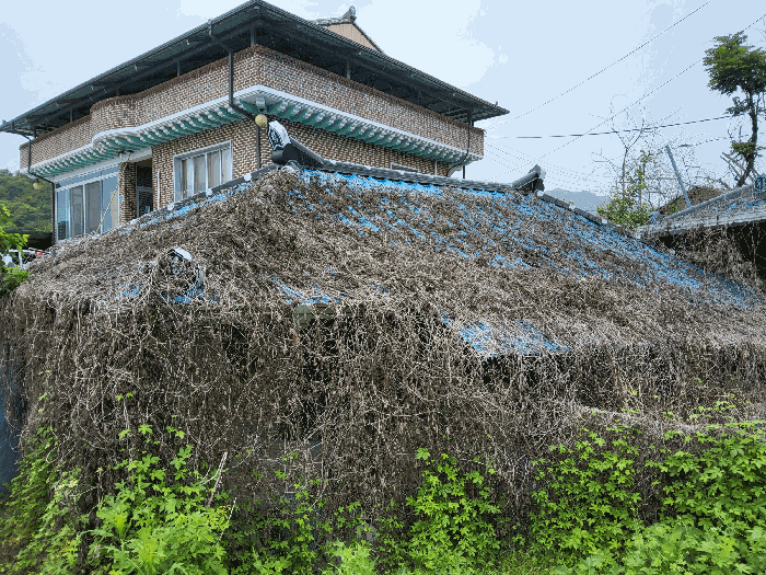 물건 사진 21