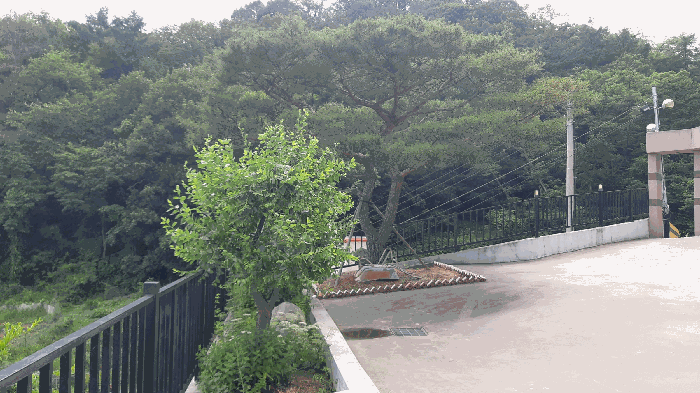 물건 사진 12