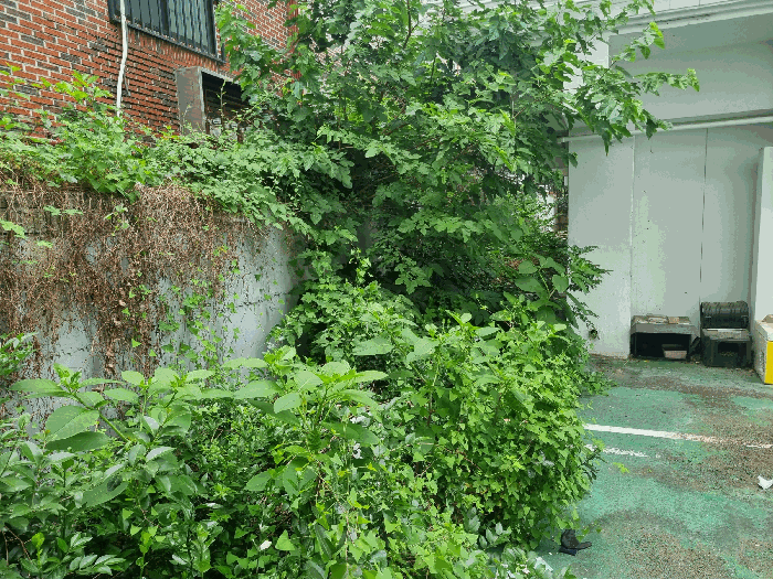 물건 사진 31