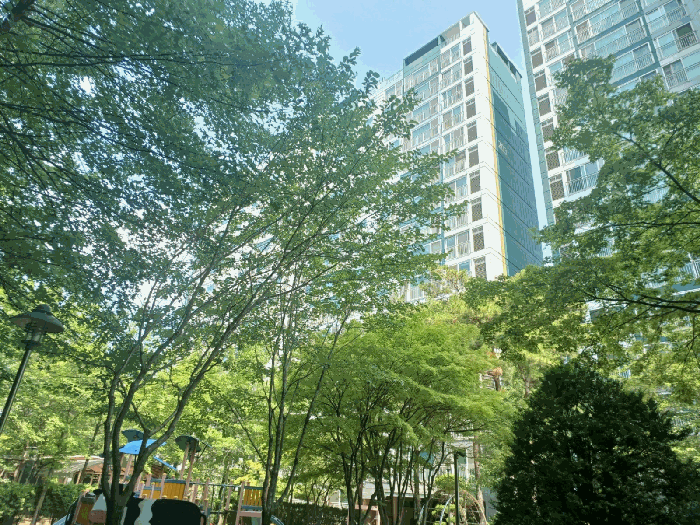 물건 사진 11