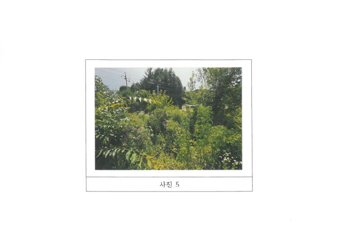 물건 사진 5