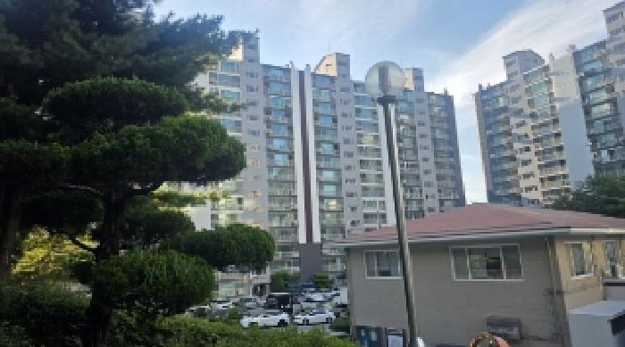 물건 사진 3