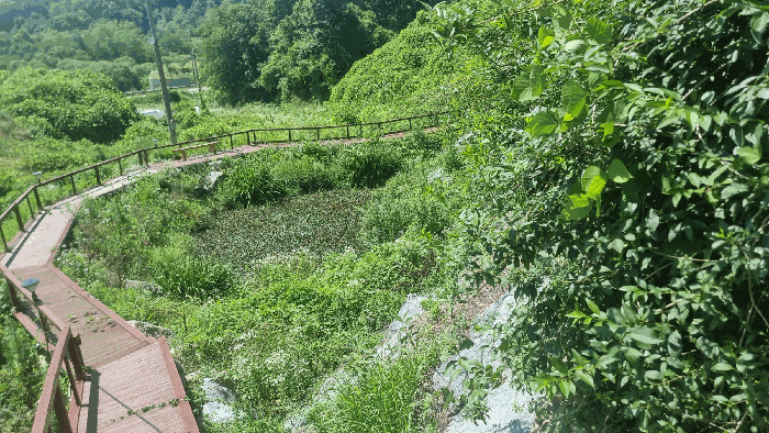 물건 사진 24