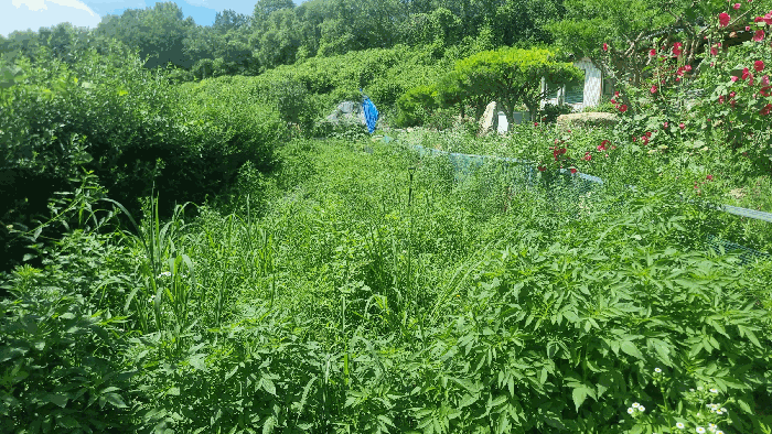 물건 사진 30