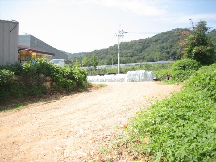 물건 사진 7