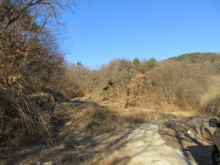 물건 사진 36