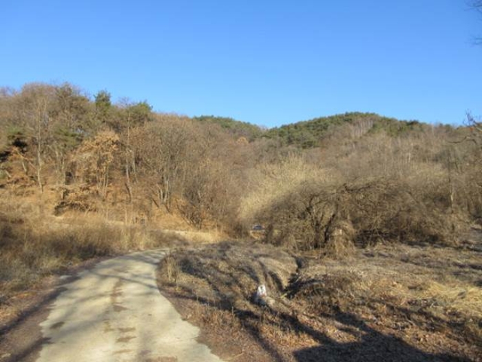 물건 사진 37