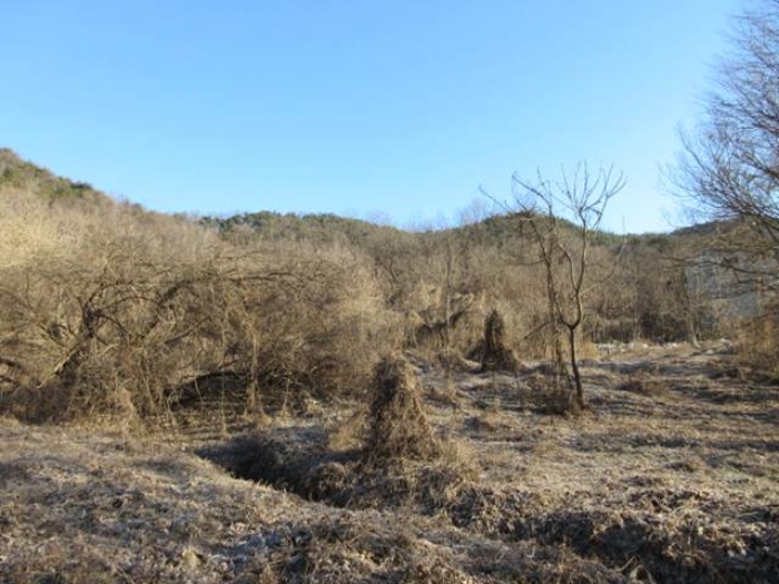 물건 사진 38