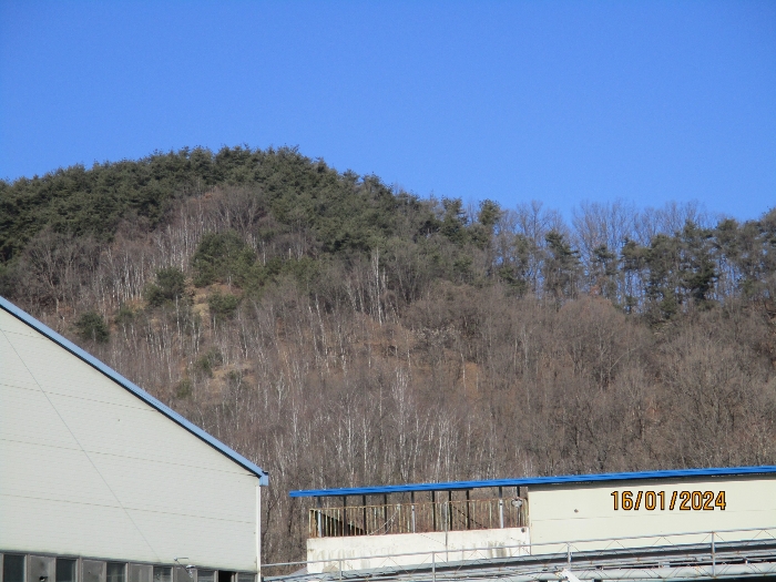 물건 사진 54