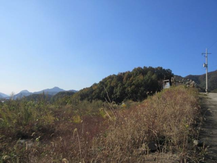 물건 사진 14