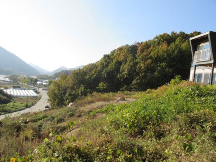 물건 사진 3