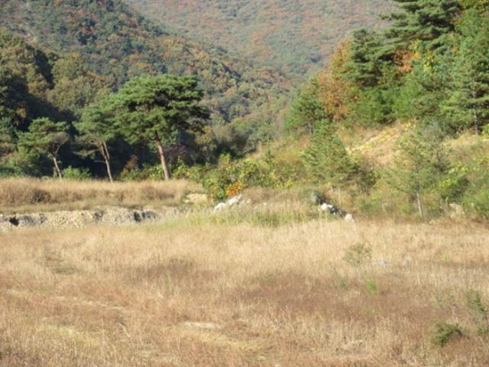 물건 사진 26